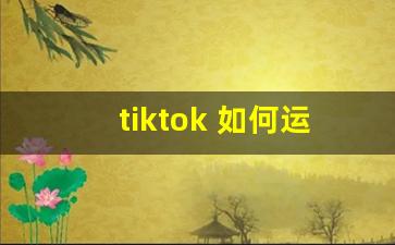 tiktok 如何运营